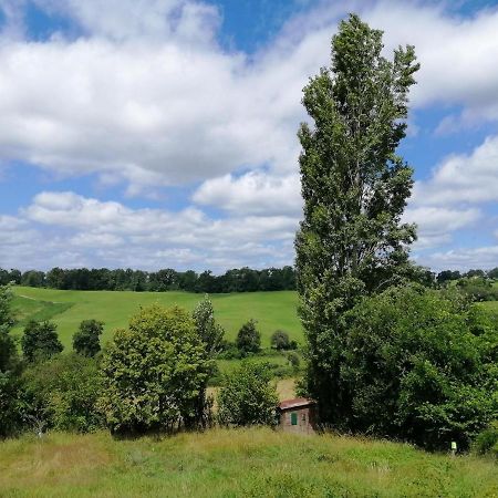 Le Gite Des Colories Salies-de-Béarn Zewnętrze zdjęcie